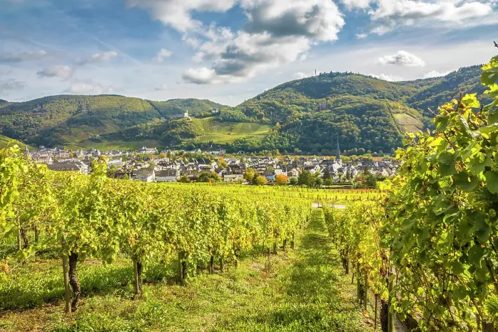 Framed Print : View from the vineyards to Kues with church St. Briktius, Bernkastel-Kues, Mosel, Rhineland-Palatinate, Germany Framed Print : View from the vineyards to Kues with church St. Briktius, Bernkastel-Kues, Mosel, Rhineland-Palatinate, Germany