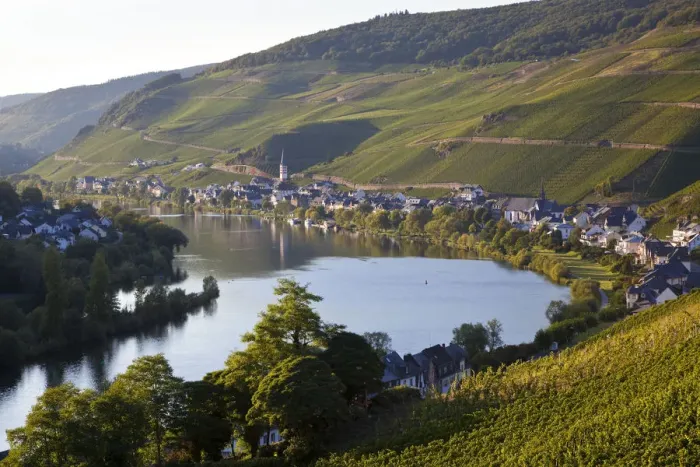 Framed Print : View over vineyards & Mosel River towards Kaimt Mosel Village, Mosel Valley Framed Print : View over vineyards & Mosel River towards Kaimt Mosel Village, Mosel Valley