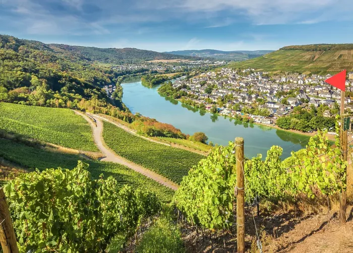 Framed Print : View from the vineyards near the Landshut castle ruins to the Moselle and Bernkastel-Kues, Moselle, Rhineland-Palatinate, Germany Framed Print : View from the vineyards near the Landshut castle ruins to the Moselle and Bernkastel-Kues, Moselle, Rhineland-Palatinate, Germany