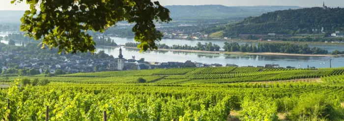 Framed Print : View over vineyards, Rudesheim, Rhineland-Palatinate, Germany Framed Print : View over vineyards, Rudesheim, Rhineland-Palatinate, Germany