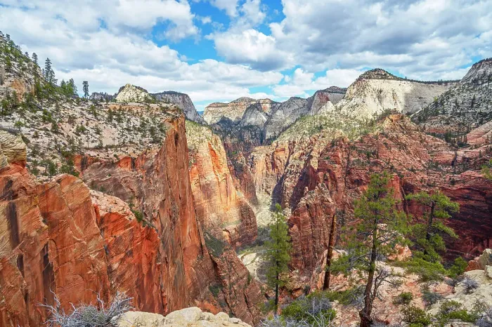 Framed Print : View from the West Rim trail at the Narrows, Zion National Park, Utah, USA Framed Print : View from the West Rim trail at the Narrows, Zion National Park, Utah, USA