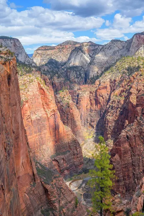 Framed Print : View from the West Rim trail at the Narrows, Zion National Park, Utah, USA Framed Print : View from the West Rim trail at the Narrows, Zion National Park, Utah, USA