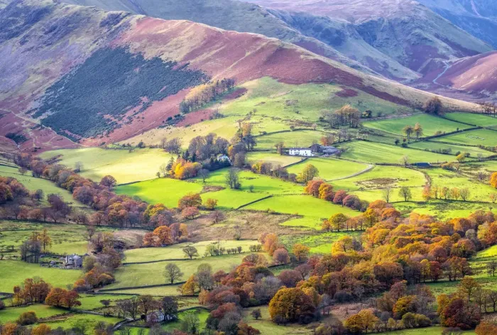 Framed Print : Views of Newlands Valley and Derwent Fells from Catbells route, near Derwentwater Framed Print : Views of Newlands Valley and Derwent Fells from Catbells route, near Derwentwater