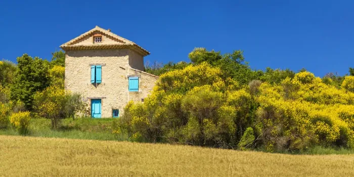 Framed Print : Villa in Gorse, near Puimoisson, Provence, France