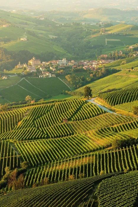 Framed Print : The village of Barolo surrounded by vineyards. Barolo, Langhe, Cuneo province, Piedmont, Italy Framed Print : The village of Barolo surrounded by vineyards. Barolo, Langhe, Cuneo province, Piedmont, Italy