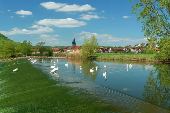 Framed Print : Village Falken in the Werra valley, with swans on the river Werra, Falken, Thuringia, Germany Framed Print : Village Falken in the Werra valley, with swans on the river Werra, Falken, Thuringia, Germany