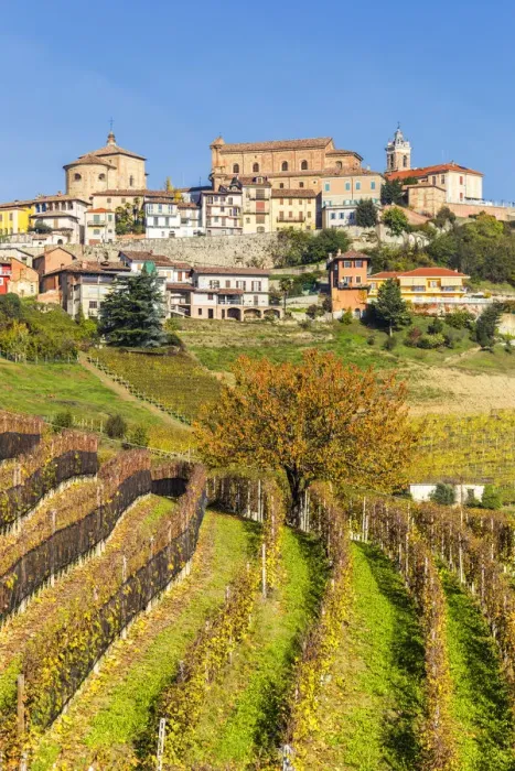 Framed Print : The village of La Morra from the vineyards in autumn. Barolo wine region, Langhe Framed Print : The village of La Morra from the vineyards in autumn. Barolo wine region, Langhe