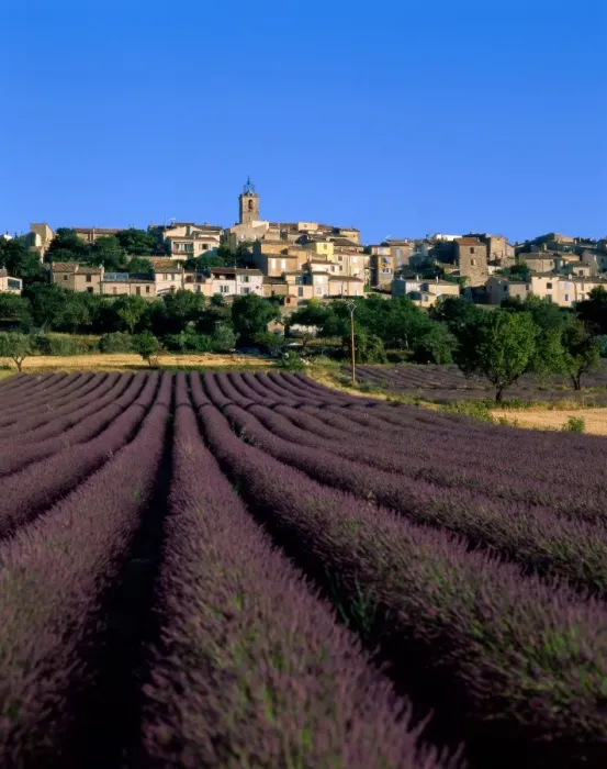 Framed Print : Village & Lavender Fields, Puimosson, Provence, France Framed Print : Village & Lavender Fields, Puimosson, Provence, France