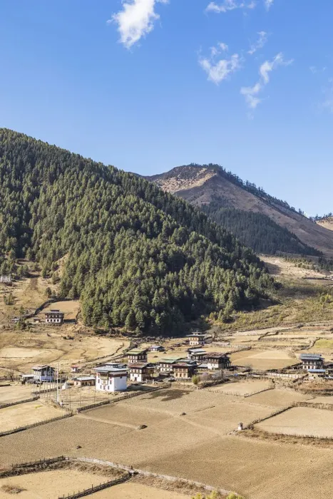 Framed Print : A village in Phobjikha Valley, Bhutan