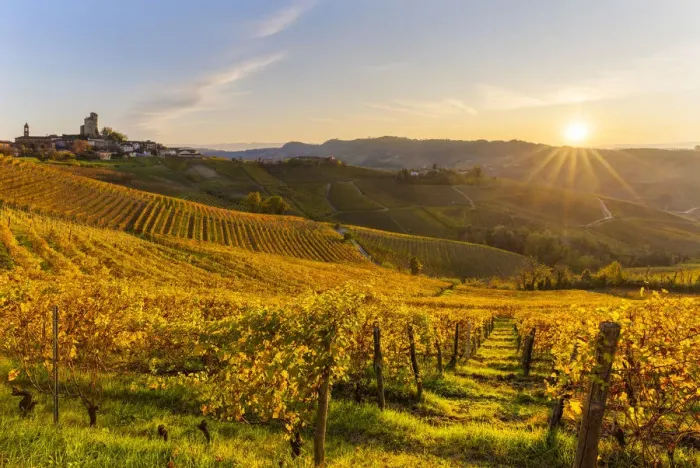 Framed Print : Village of Serralunga d Alba at sunset. Langhe, Piedmont, Italy, Europe Framed Print : Village of Serralunga d Alba at sunset. Langhe, Piedmont, Italy, Europe