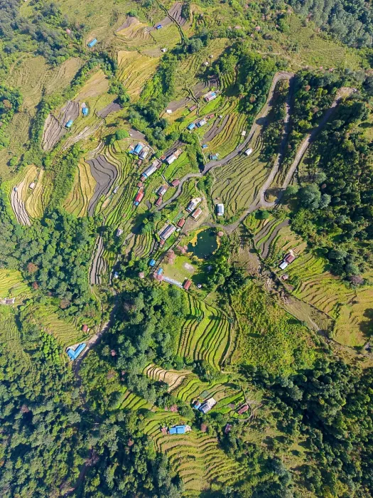Framed Print : Village and terraced fields near Ghandruk, Annapurna Region, Gandaki Province, Nepal