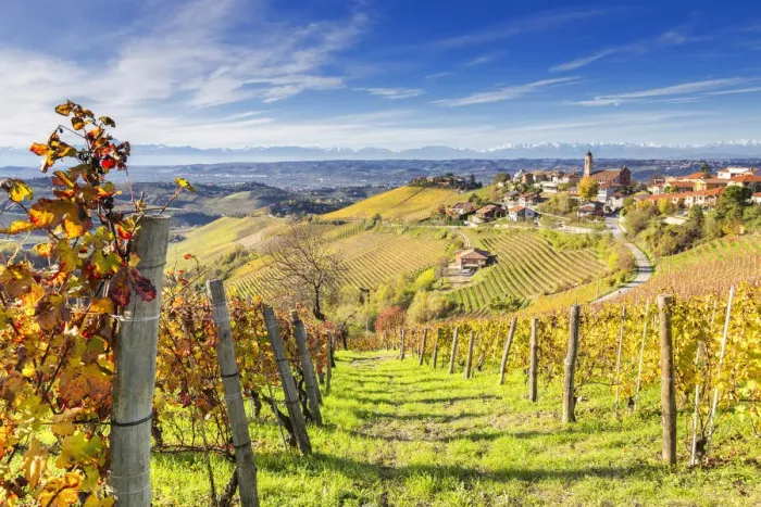 Framed Print : Village of Treiso during autumn. Barbaresco region, Piedmont, Italy, Europe Framed Print : Village of Treiso during autumn. Barbaresco region, Piedmont, Italy, Europe