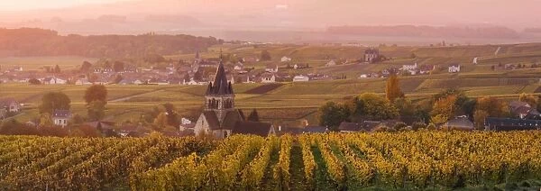 Ville Dommange and its vineyards, Champagne Ardenne, France