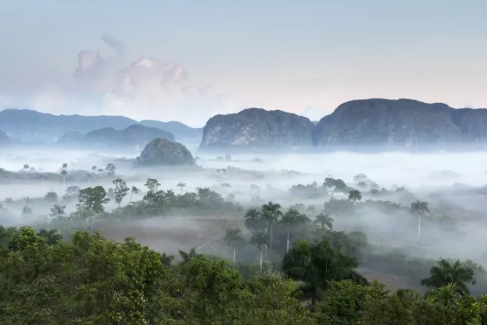Framed Print : Vinales valley, Cuba, Caribbean Framed Print : Vinales valley, Cuba, Caribbean