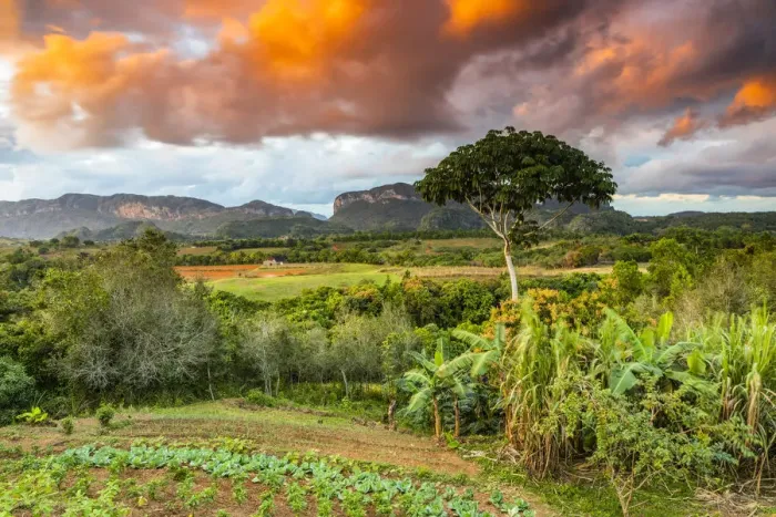 Framed Print : Vinales Valley at sunset, Pinar del Rio Province, Cuba Framed Print : Vinales Valley at sunset, Pinar del Rio Province, Cuba