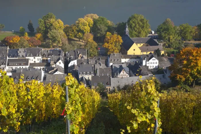 Framed Print : Vine Rows, Bacharach, Rhine Valley, Germany Framed Print : Vine Rows, Bacharach, Rhine Valley, Germany