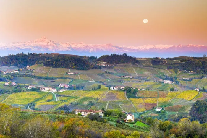 Framed Print : Vineyard of Barolo wine region during sunrise with the moon Framed Print : Vineyard of Barolo wine region during sunrise with the moon