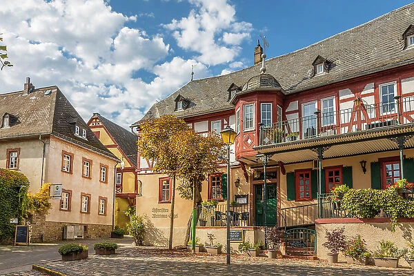 Vineyard and historic houses in the old town of Kiedrich, Rheingau, Hesse, Germany