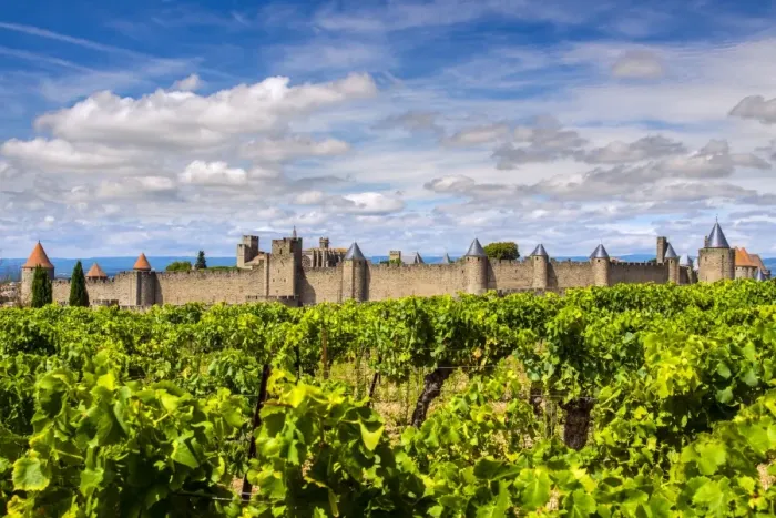 Framed Print : Vineyard with the medieval fortified citadel behind, Carcassonne, Languedoc-Roussillon Framed Print : Vineyard with the medieval fortified citadel behind, Carcassonne, Languedoc-Roussillon