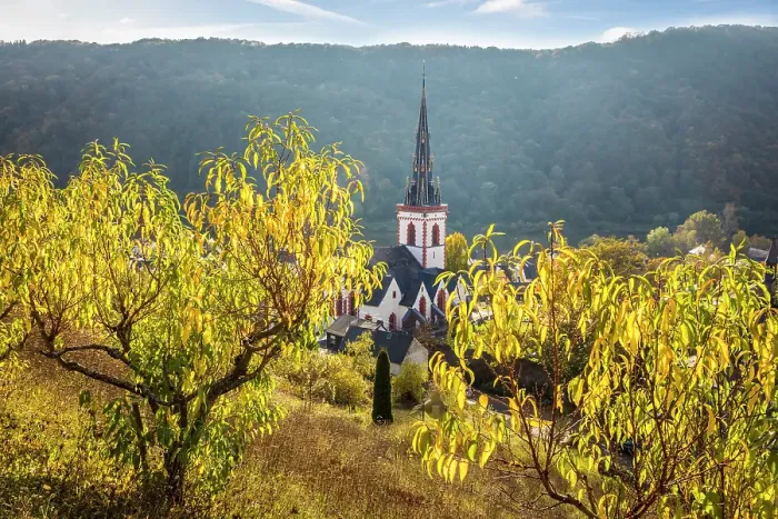 Framed Print : Vineyard peach trees above the village of Ediger with the church of St. Martin, Ediger-Eller, Mosel, Rhineland-Palatinate, Germany Framed Print : Vineyard peach trees above the village of Ediger with the church of St. Martin, Ediger-Eller, Mosel, Rhineland-Palatinate, Germany