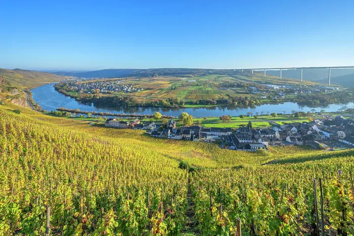 Framed Print : Vineyard Urziger Wurzgarten near Urzig with Mosel bridge, Mosel, Mosel valley, Rhineland-Palatinate, Germany Framed Print : Vineyard Urziger Wurzgarten near Urzig with Mosel bridge, Mosel, Mosel valley, Rhineland-Palatinate, Germany