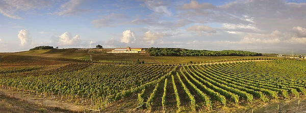 Vineyards and Adega Campolargo at Bairrada wine region. Sao Lourenco do Bairro, Portugal