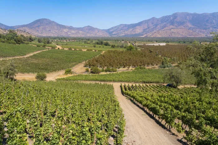 Framed Print : Vineyards with The Andes mountains on horizon, El Principal winery, Pirque, Maipo Valley, Cordillera Province, Santiago Metropolitan Region, Chile Framed Print : Vineyards with The Andes mountains on horizon, El Principal winery, Pirque, Maipo Valley, Cordillera Province, Santiago Metropolitan Region, Chile