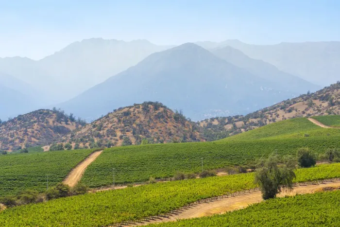 Framed Print : Vineyards with The Andes mountains on horizon, El Principal winery, Pirque, Maipo Valley, Cordillera Province, Santiago Metropolitan Region, Chile Framed Print : Vineyards with The Andes mountains on horizon, El Principal winery, Pirque, Maipo Valley, Cordillera Province, Santiago Metropolitan Region, Chile