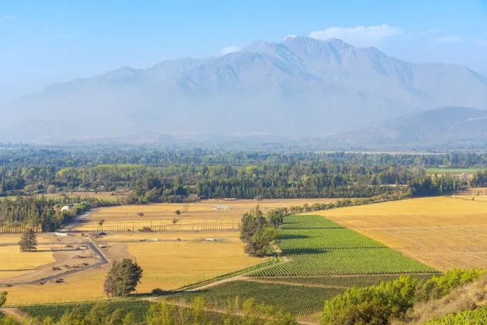 Framed Print : Vineyards with The Andes mountains on horizon, Haras de Pirque winery, Pirque, Maipo Valley, Cordillera Province, Santiago Metropolitan Region, Chile