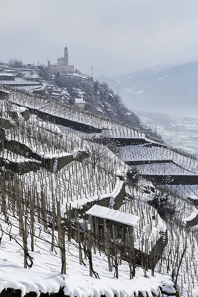 Vineyards of Grumello covered in snow near Montagna in Valtellina. Lombardy, Italy
