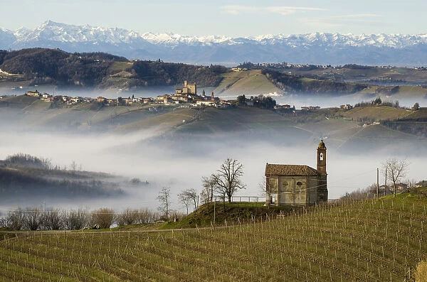 Vineyards in Langhe with a chapel on the foreground, Serralunga D