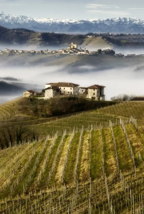 Framed Print : Vineyards in Langhe with a farmhouse on the foreground, Serralunga D Framed Print : Vineyards in Langhe with a farmhouse on the foreground, Serralunga D