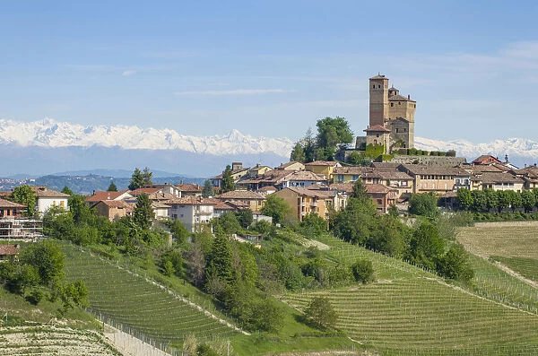 Vineyards in Langhe with Serralunga D Alba with his castle on the foreground