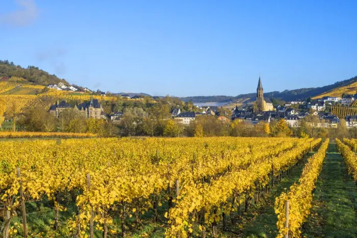 Framed Print : Vineyards with Lieser, Mosel valley, Rhineland-Palatinate, Germany Framed Print : Vineyards with Lieser, Mosel valley, Rhineland-Palatinate, Germany