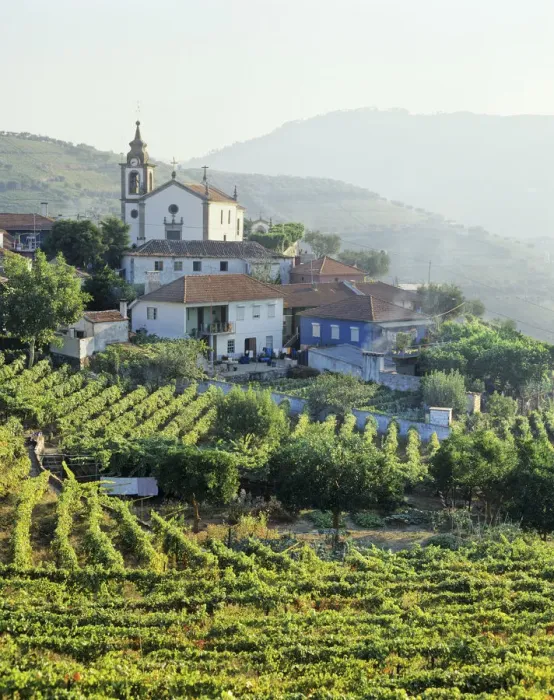 Framed Print : Vineyards at the little village of Sao Miguel de Lobrigos, on the world famous Port Framed Print : Vineyards at the little village of Sao Miguel de Lobrigos, on the world famous Port