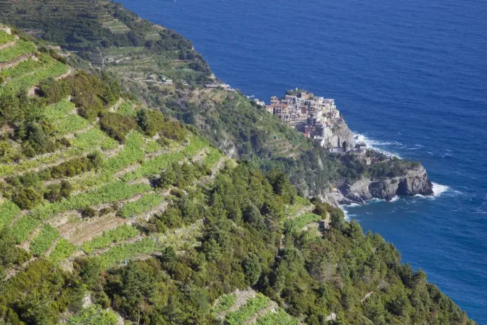 Framed Print : Vineyards above Manarola, Cinque Terre, Riviera di Levante, Liguria, Italy Framed Print : Vineyards above Manarola, Cinque Terre, Riviera di Levante, Liguria, Italy