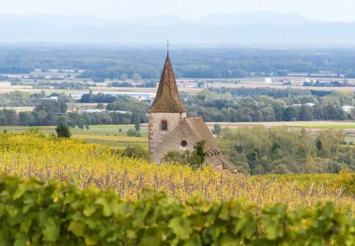 Framed Print : Vineyards near Ribeauville, Alsatian Wine Route, France Framed Print : Vineyards near Ribeauville, Alsatian Wine Route, France