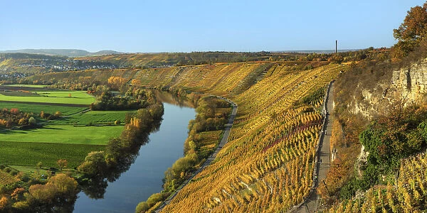 Vineyards along the Neckar Valley, Hessigheim, Baden-Wurttemberg, Germany