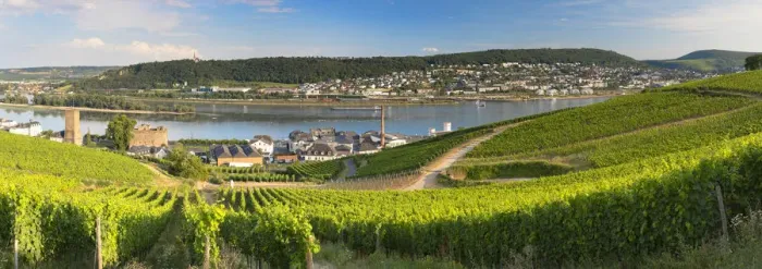 Framed Print : Vineyards and River Rhine, Rudesheim, Rhineland-Palatinate, Germany Framed Print : Vineyards and River Rhine, Rudesheim, Rhineland-Palatinate, Germany
