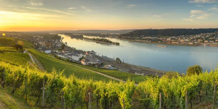 Framed Print : Vineyards and River Rhine at sunrise, Rudesheim, Rhineland-Palatinate, Germany Framed Print : Vineyards and River Rhine at sunrise, Rudesheim, Rhineland-Palatinate, Germany