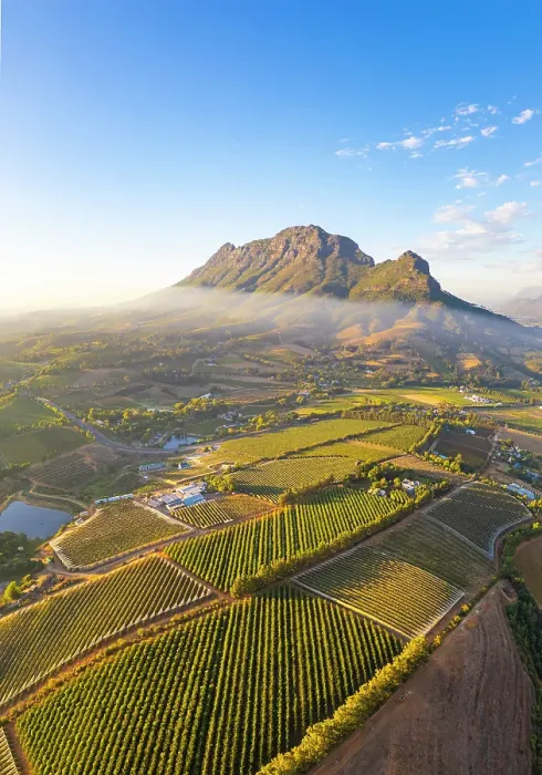 Framed Print : Vineyards of Stellenbosch & Simonsberg Mountain, Western Cape, South Africa Framed Print : Vineyards of Stellenbosch & Simonsberg Mountain, Western Cape, South Africa