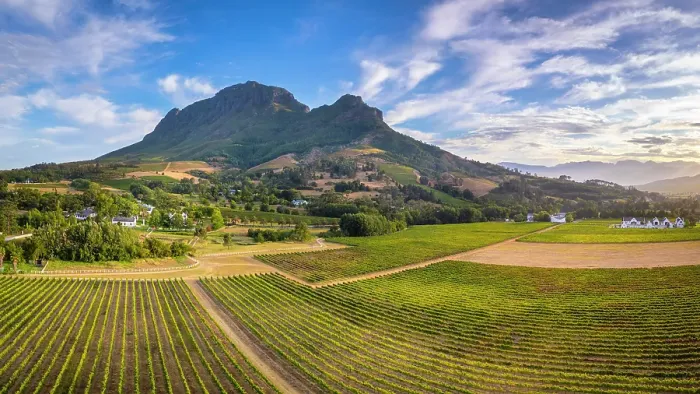 Framed Print : Vineyards of Stellenbosch & Simonsberg Mountain, Western Cape, South Africa Framed Print : Vineyards of Stellenbosch & Simonsberg Mountain, Western Cape, South Africa