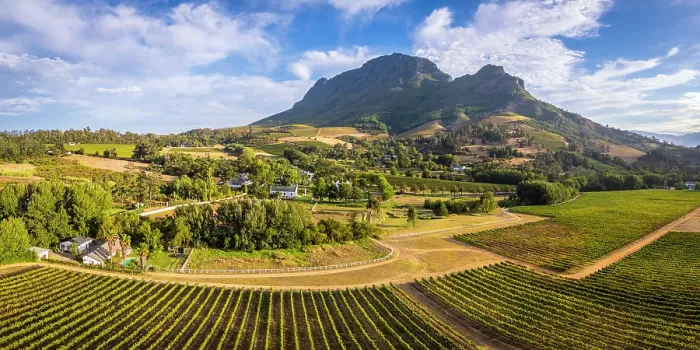 Framed Print : Vineyards of Stellenbosch & Simonsberg Mountain, Western Cape, South Africa Framed Print : Vineyards of Stellenbosch & Simonsberg Mountain, Western Cape, South Africa