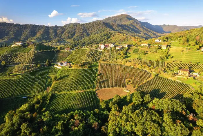 Framed Print : Vineyards of Terre del Vescovado in Bergamo province, Lombardy district in Italy Framed Print : Vineyards of Terre del Vescovado in Bergamo province, Lombardy district in Italy