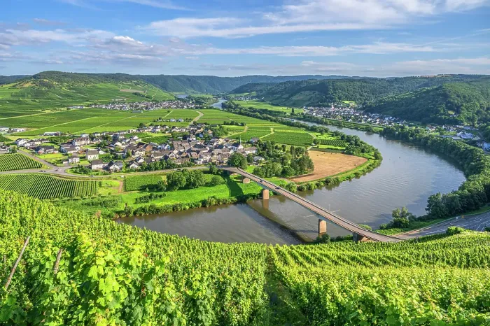 Framed Print : Vineyards above Thornich and Ensch, Mosel, Rhineland-Palatinate, Germany Framed Print : Vineyards above Thornich and Ensch, Mosel, Rhineland-Palatinate, Germany