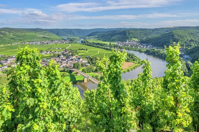 Framed Print : Vineyards above Thornich and Ensch, Mosel, Rhineland-Palatinate, Germany Framed Print : Vineyards above Thornich and Ensch, Mosel, Rhineland-Palatinate, Germany