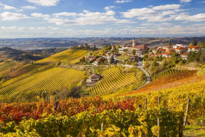 Framed Print : Vineyards, Treiso, nr Alba, Langhe, Piedmont (or Piemonte or Piedmonte), Italy Framed Print : Vineyards, Treiso, nr Alba, Langhe, Piedmont (or Piemonte or Piedmonte), Italy
