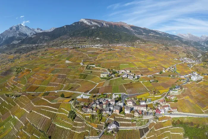 Framed Print : Vineyards above Vetroz, near Sion, Rhone Valley, Valais, Switzerland
