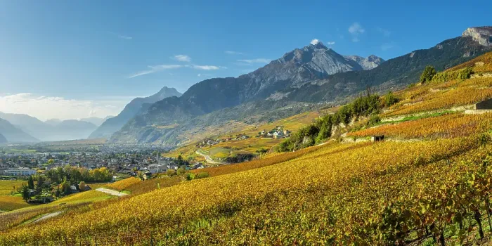 Framed Print : Vineyards above Vetroz, near Sion, Rhone Valley, Valais, Switzerland