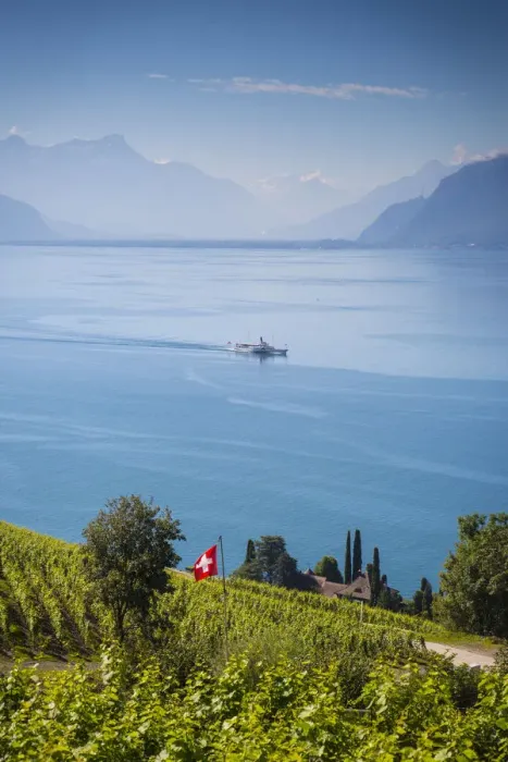 Framed Print : Vineyards above Vevey, Lake Geneva, Vaud, Switzerland Framed Print : Vineyards above Vevey, Lake Geneva, Vaud, Switzerland